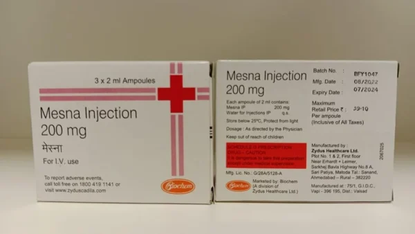 mensa